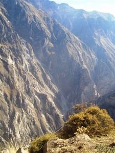 The Colca Canyon itself