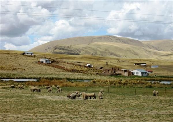 Vista of the Altiplano