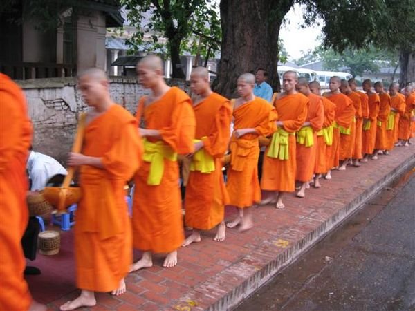 The 'orange wave' of feeding monks