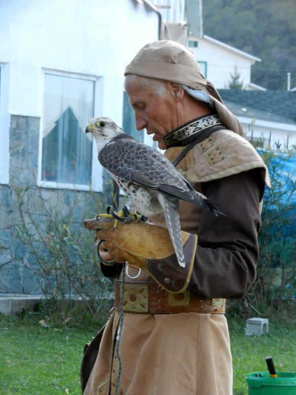 Falcon and Falconer - can you tell which is which