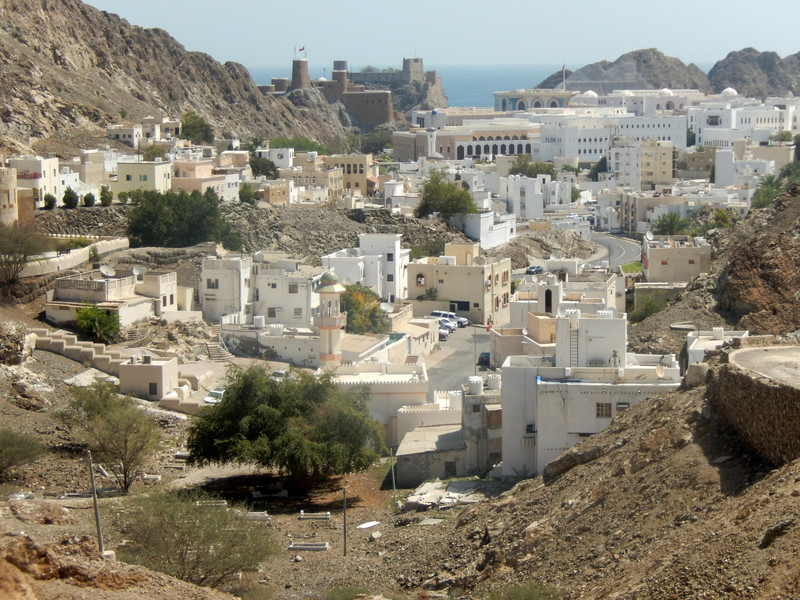 Panorama of old Muscat, showing fort and the Palace