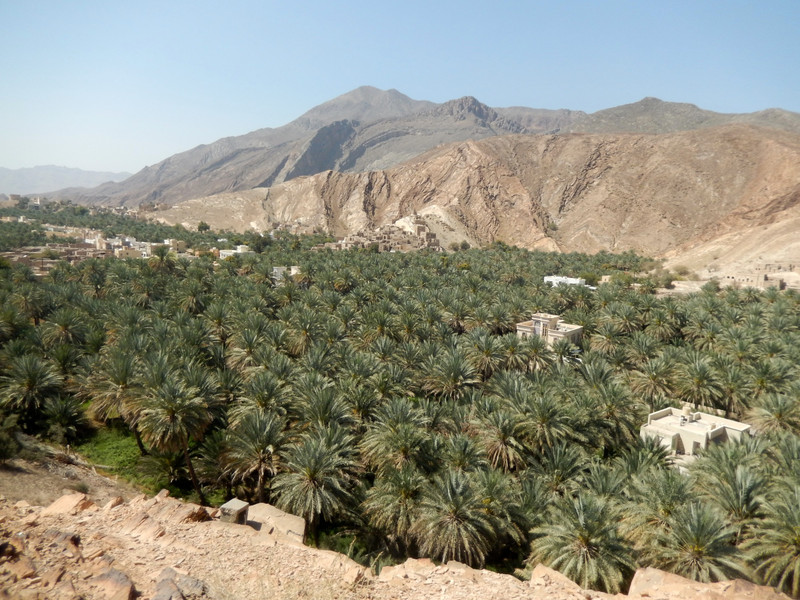The oasis township of Wadi Bani Habib ...
