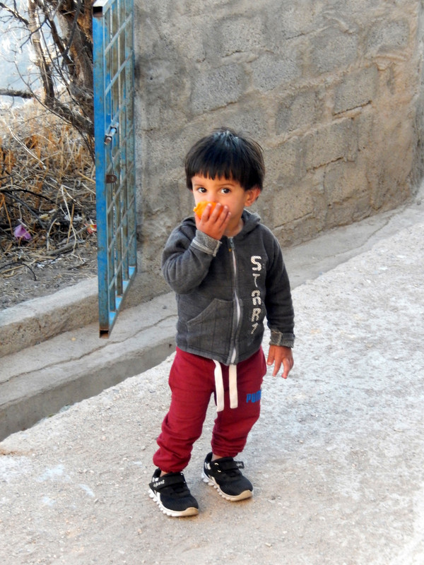 Young boy eating an orange
