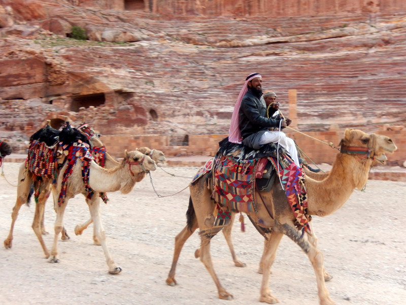Hey mister, you want a camel ride?