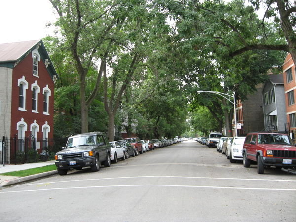 Shannon and Dave's Street in Chicago