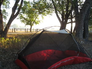 Campsite at Dawn in Choteau, MT