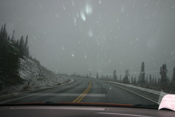 The snow we drove in from Lake Louise to Jasper