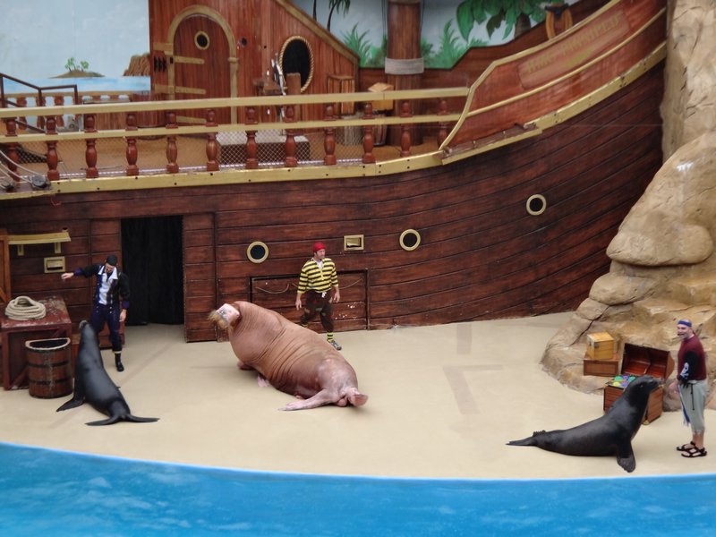 Sea Lion show at Sea World