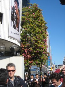 Harajuku Tree