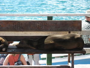Tourism shot for the Galapagos 