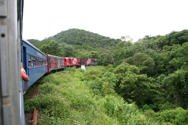 Train from Curitiba to Paranagua
