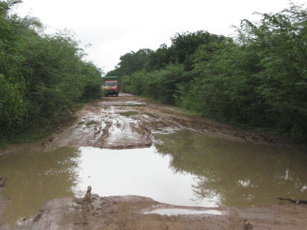 The road into the Pantanal