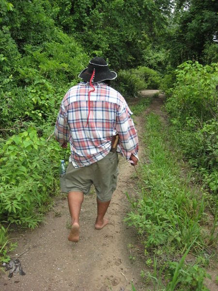 Our guide Paulo walking in the jungle