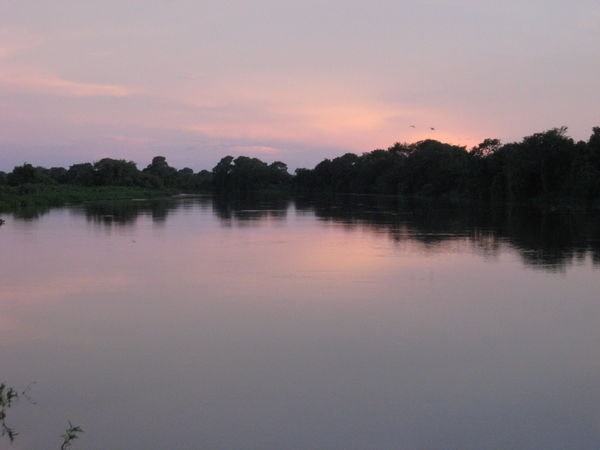 Sunset in the Pantanal