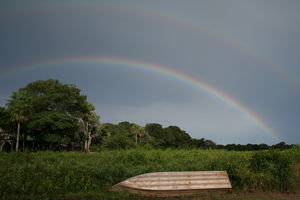 Rainbow in the Pantanal