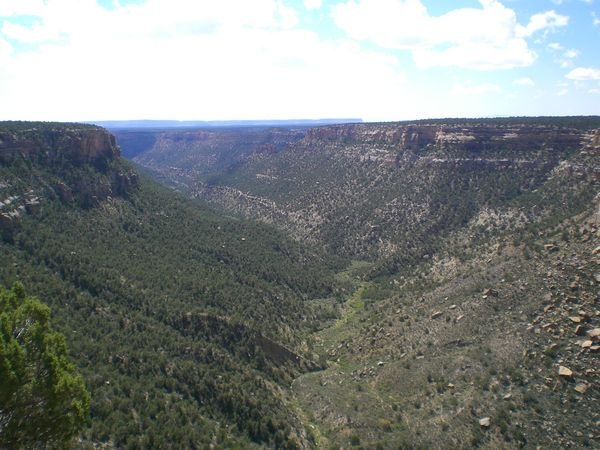 Landscape of Mesa Verde