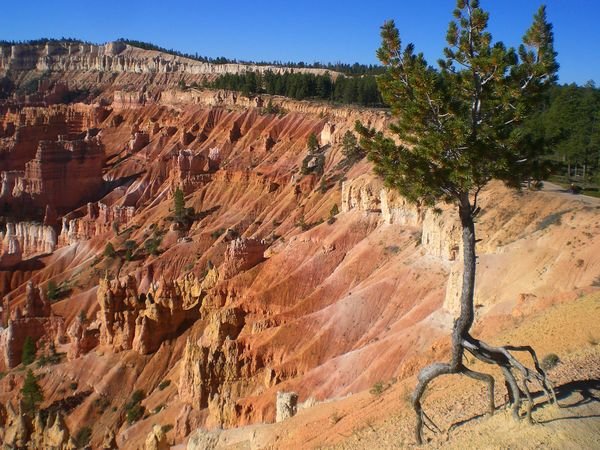 Erosion happens quickly at Bryce