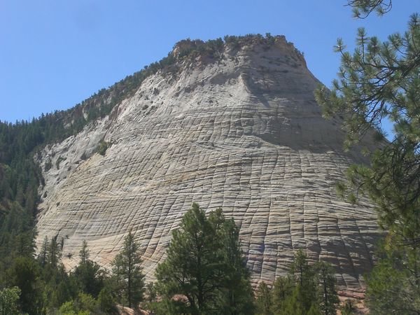 Different landscape in Zion