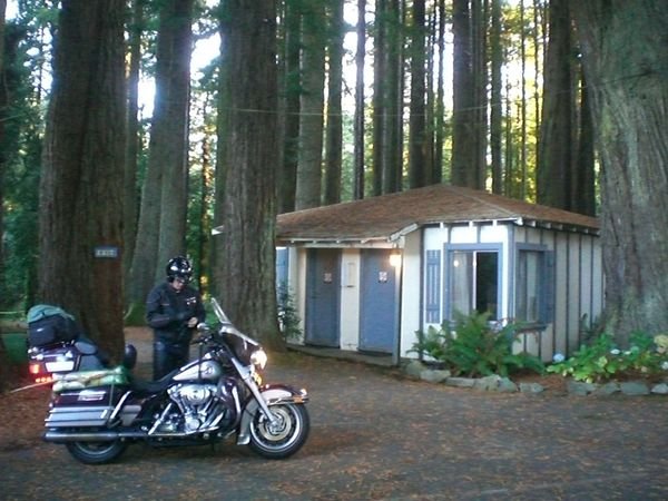 Our "log cabin" in the redwoods