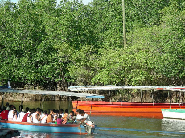 Boat crossings in the Mangoves