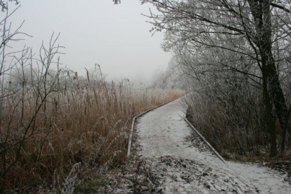The path over the lake