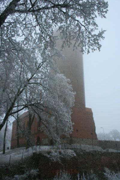 The Castle Tower