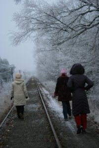 Walking the tracks