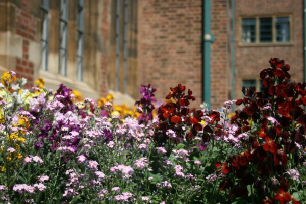 Gardens in St Johns College