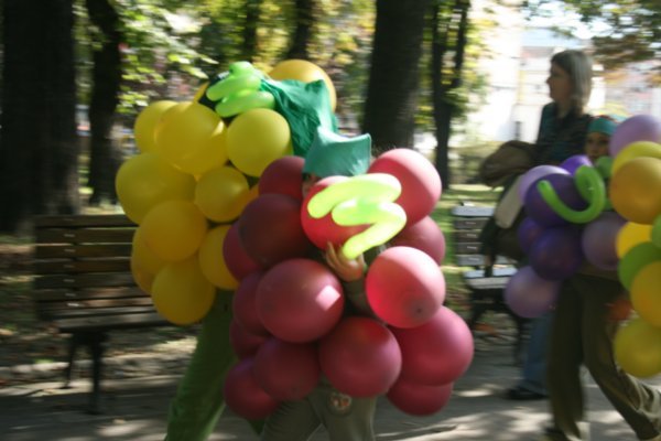Serbian Grapes