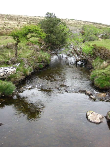 moor streams 
