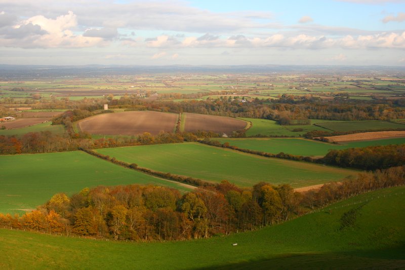 the view over the south downs