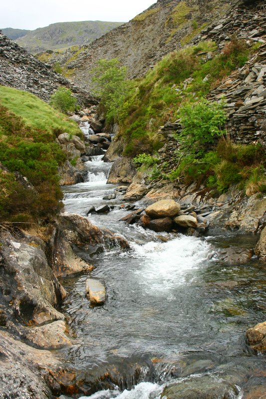 Over the stream