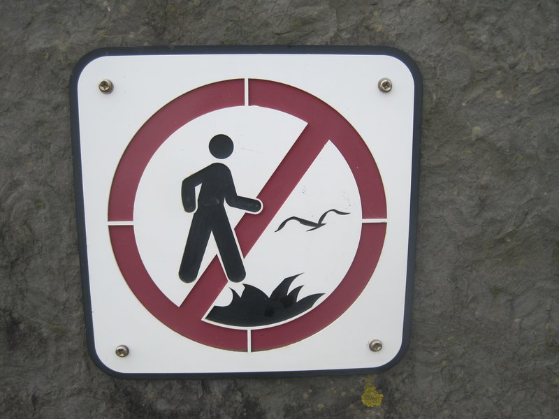 Ummm ... no stepping on seagulls?