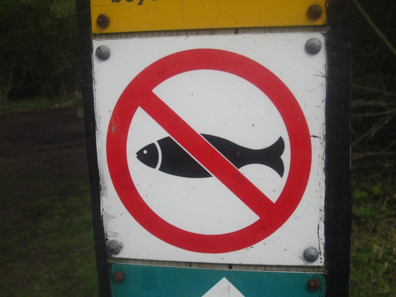 No fish allowed!