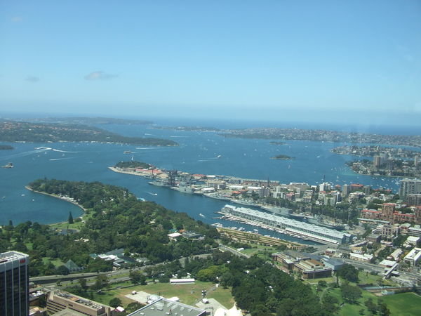 One view from Sydney Tower