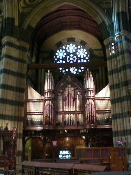 Organ