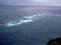 Collision of Tasman Sea and Pacific Ocean