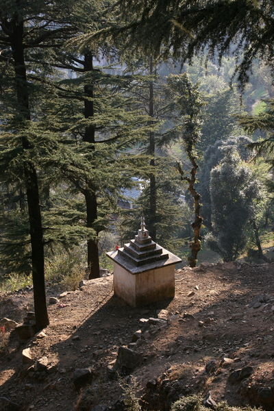 small shrine in forest