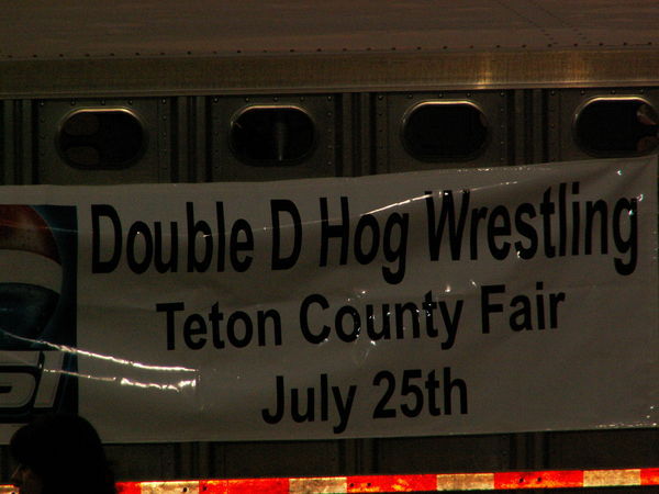 Teton County Pig Wrestling