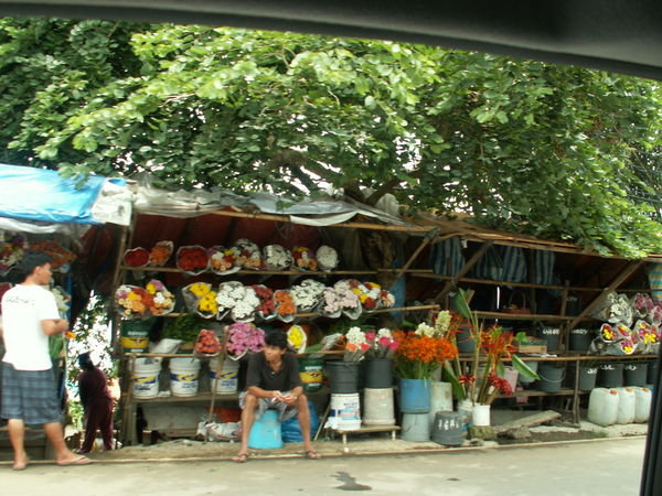 Selling Flowers
