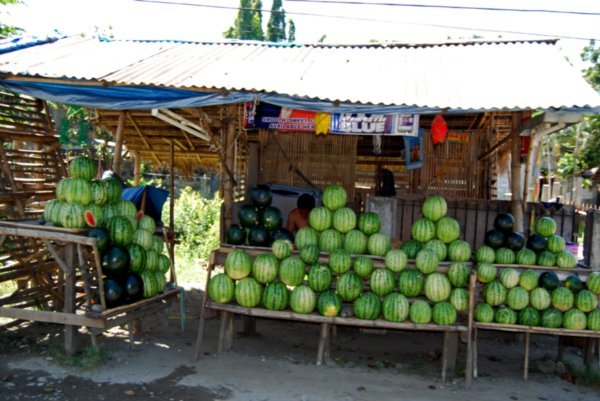 watermelon stand roadside