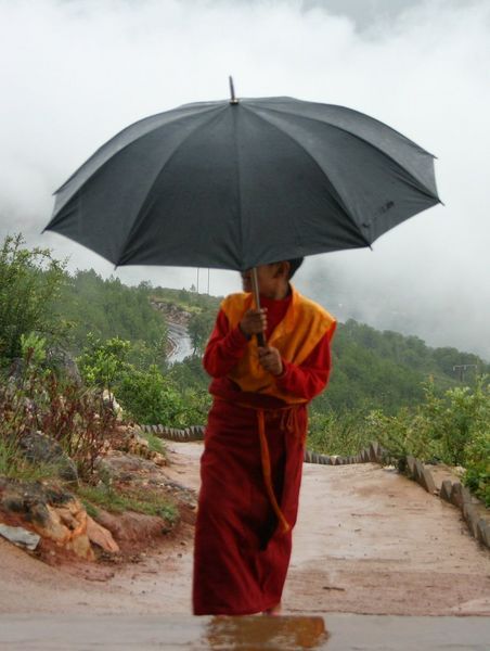 The Monk in the rain