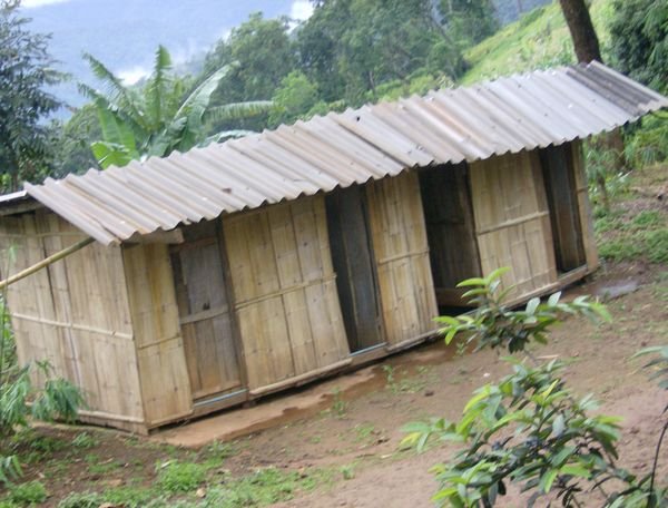 The Bamboo Toilets