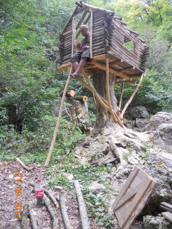 Ladderless Tree house 