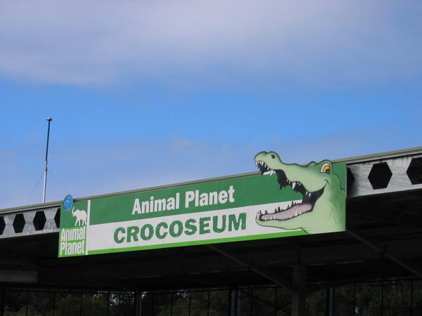 The Crocoseum