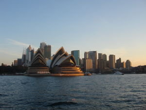 sydney from the water