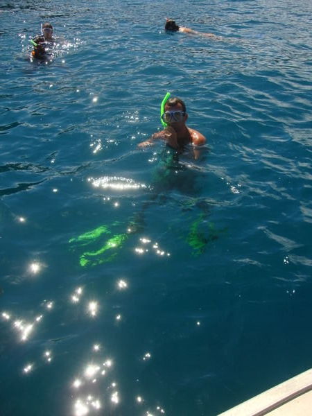 swimming with the rays