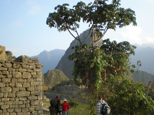 Wayna-Picchu