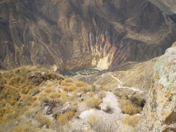 Colca Canyon - Abstieg