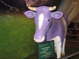 The famous purple Milka cow!